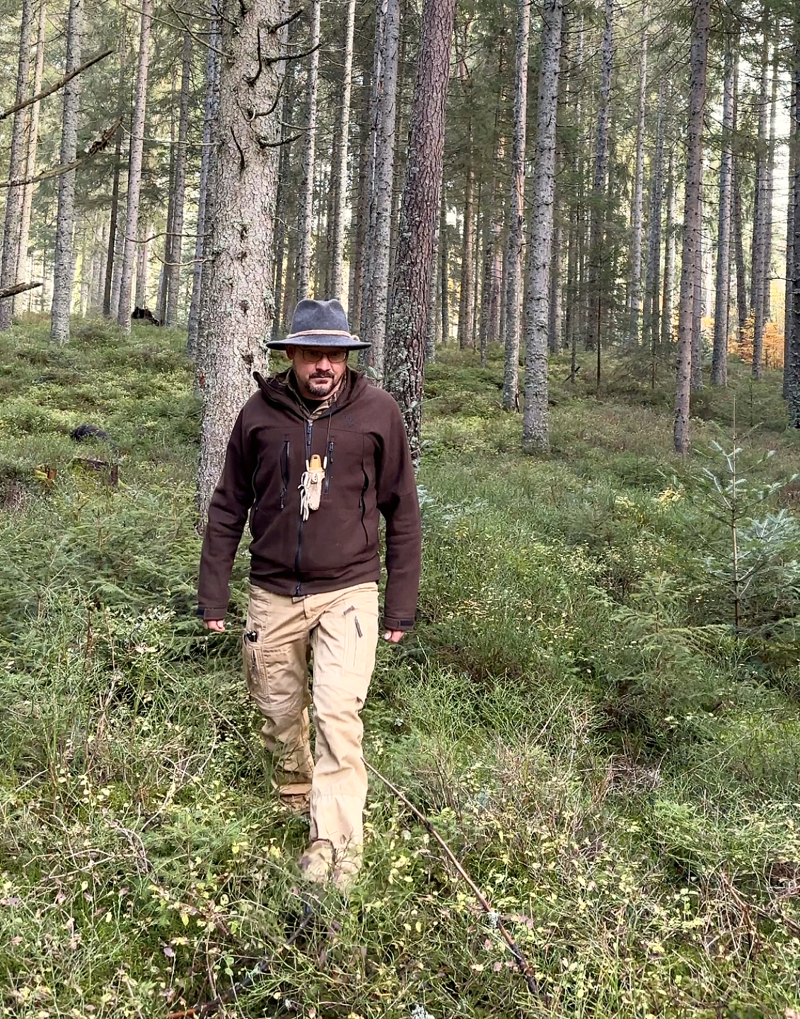 Wandering in der Wildnispädagogik