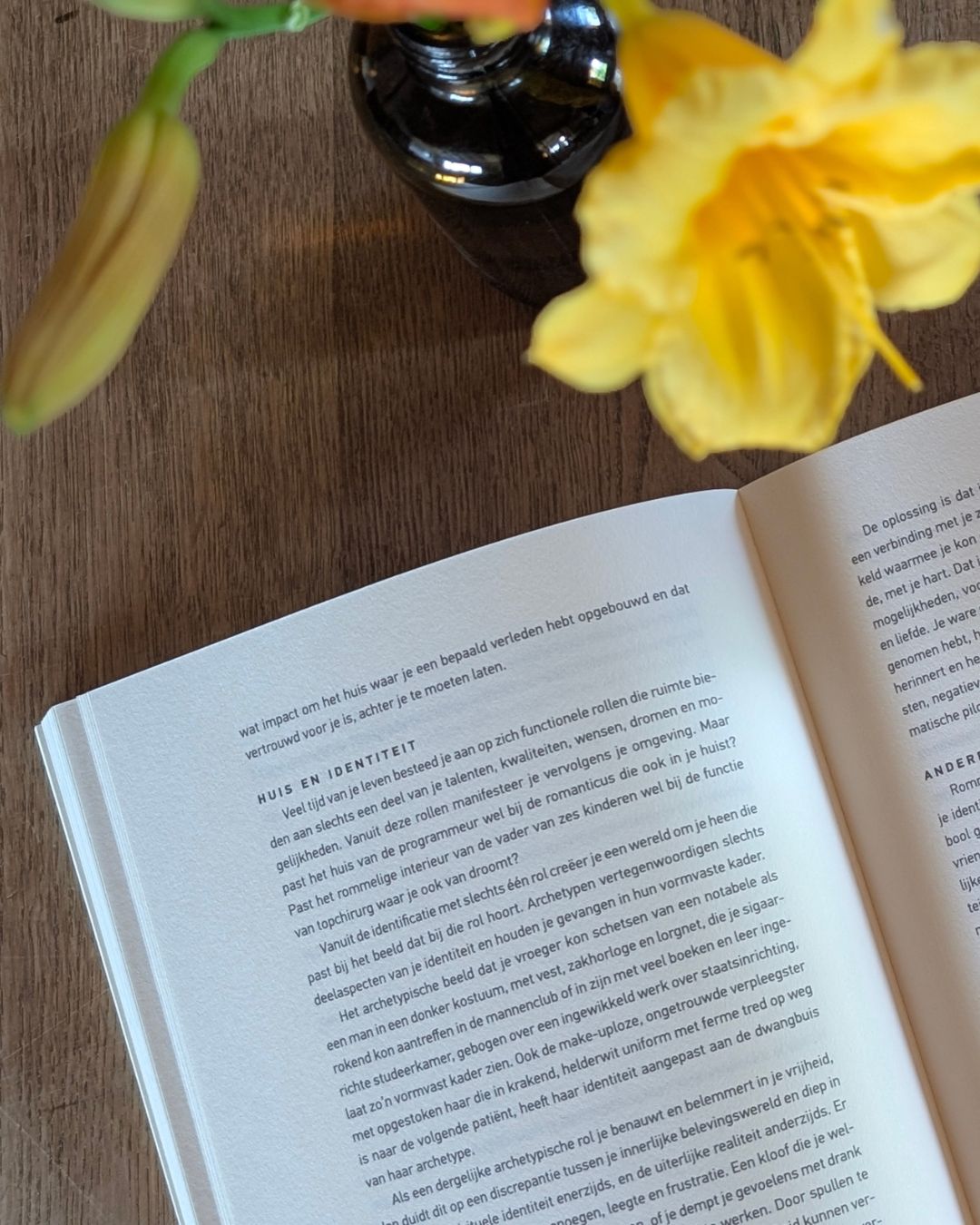 boek opgeslagen op een hoofdstuk genaamd 'Huis en identiteit'