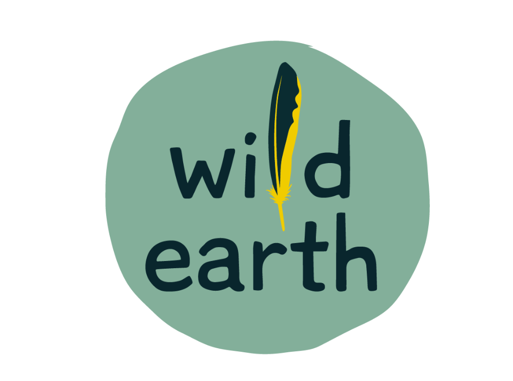 Header Logo