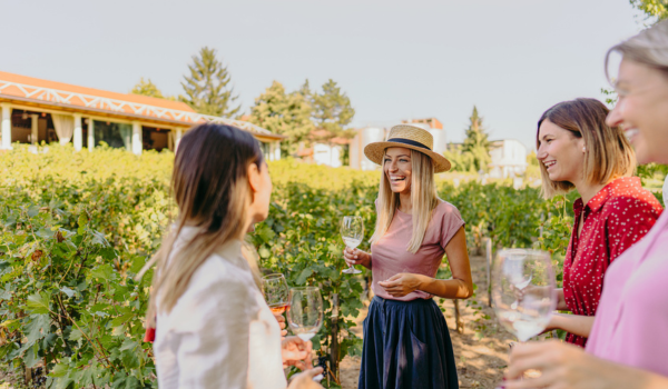 Wine tasting and tapas