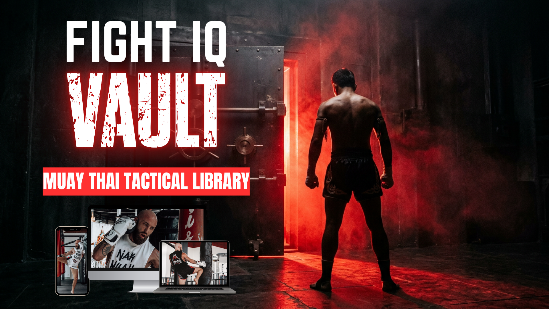 The Fight IQ Vault