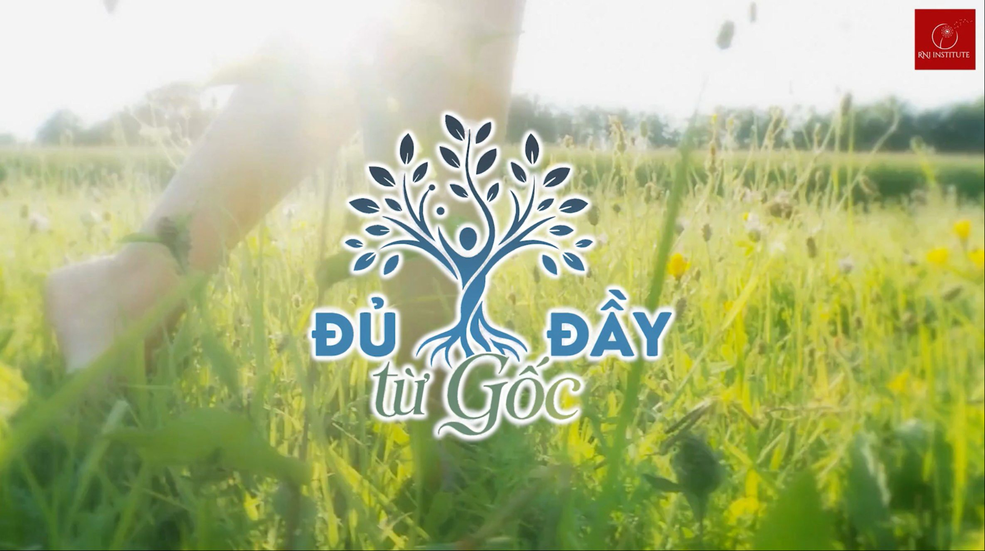 Workshop online Đủ Đầy Từ Gốc