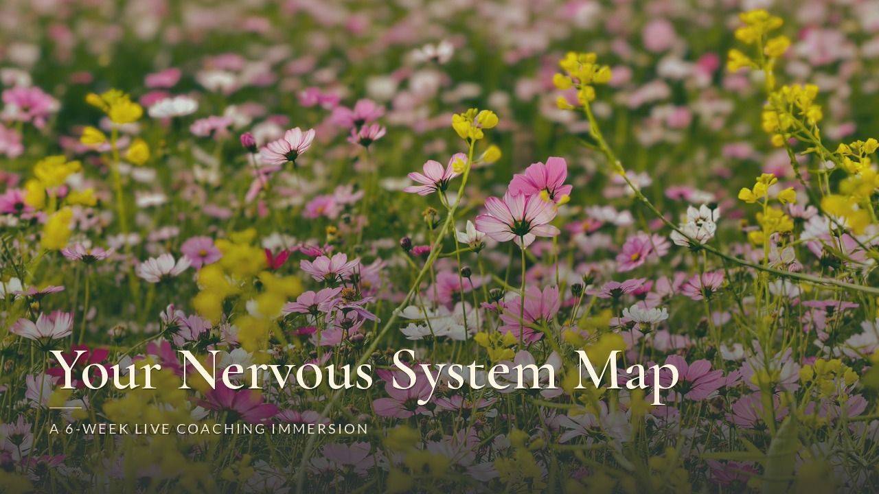 Your Nervous System Map - a 6-week live coaching immersion