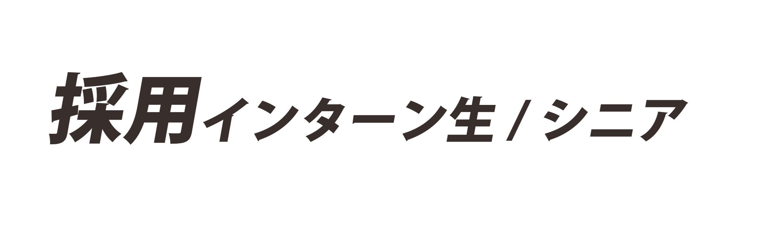 採用　インターン生／シニア