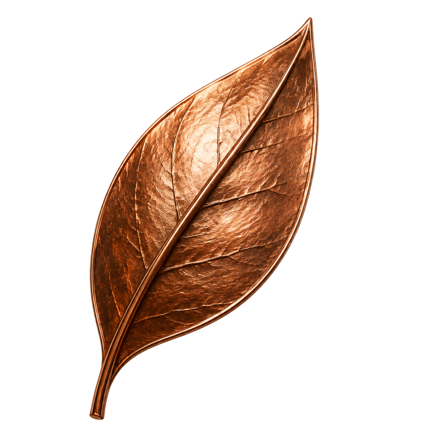 Leaf