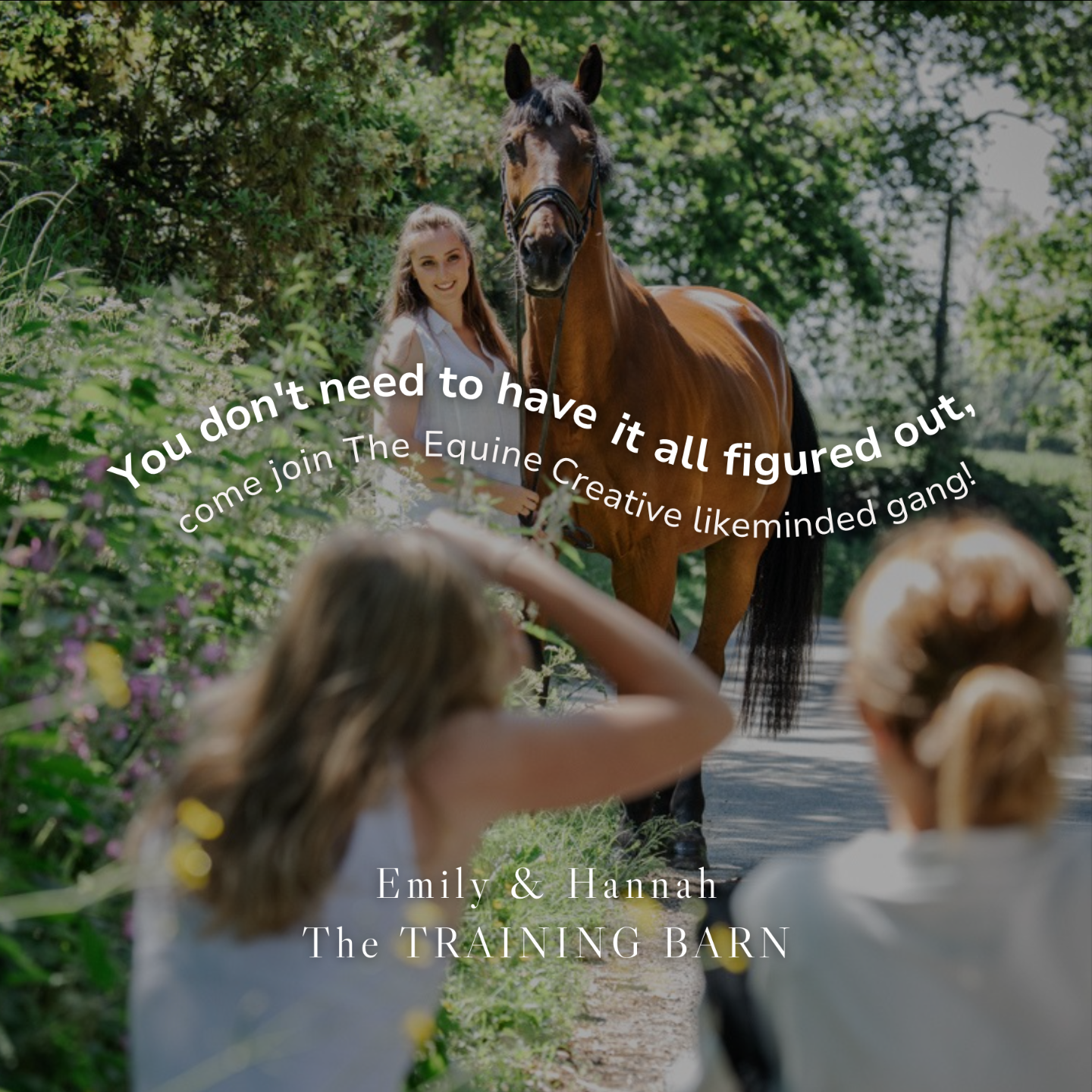 Equine Creative Community