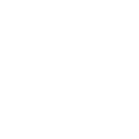 Certificate Badge Icon