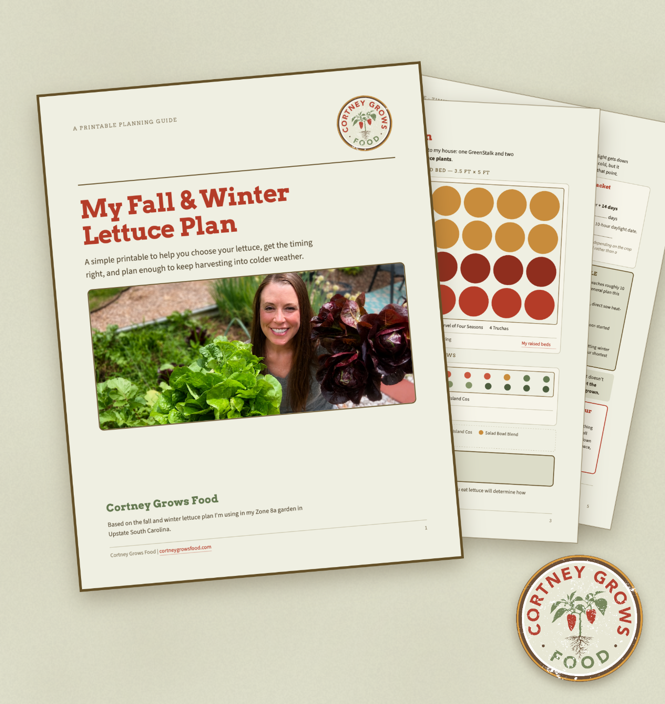 Fall & Winter Lettuce Guide image