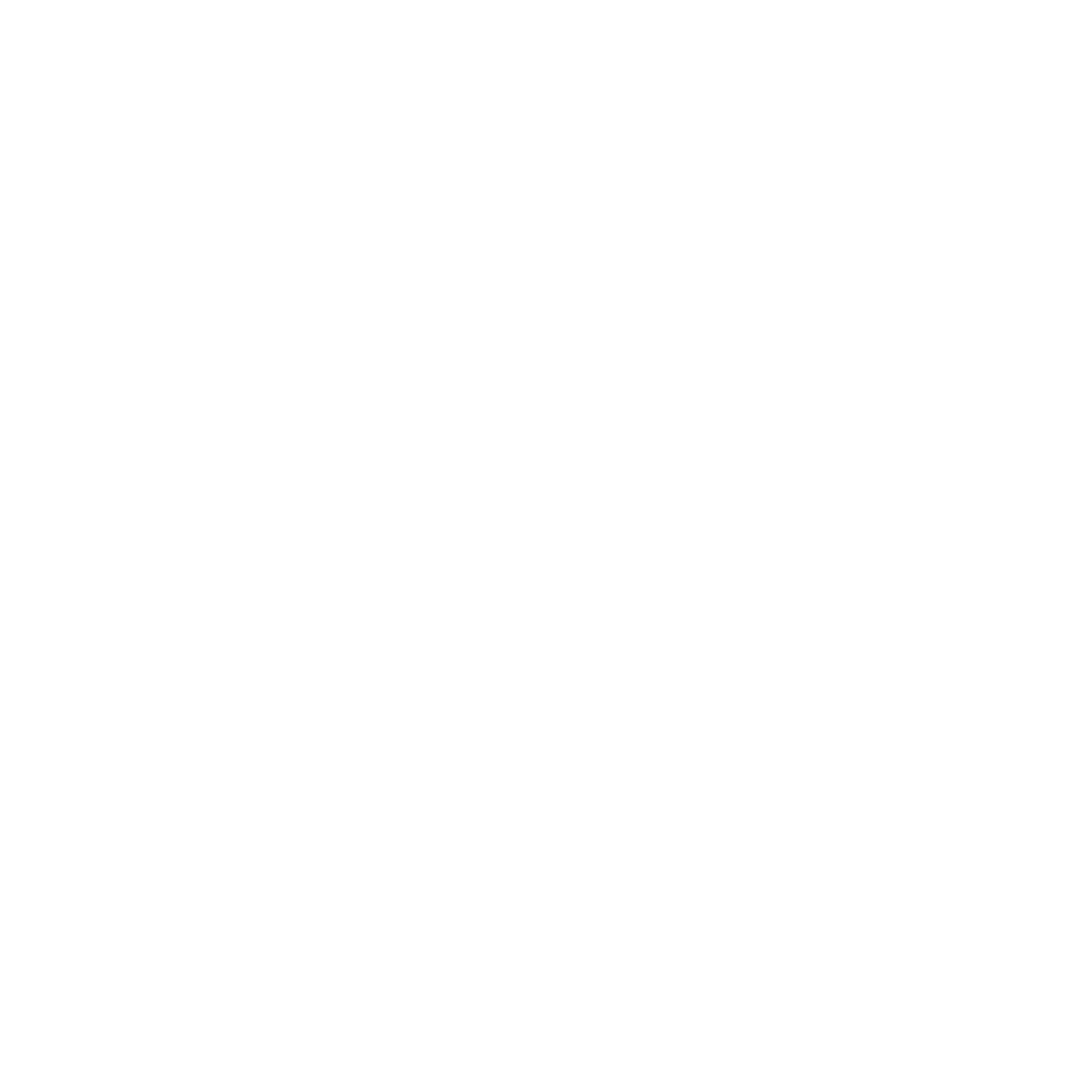 Capacity Assessment icon