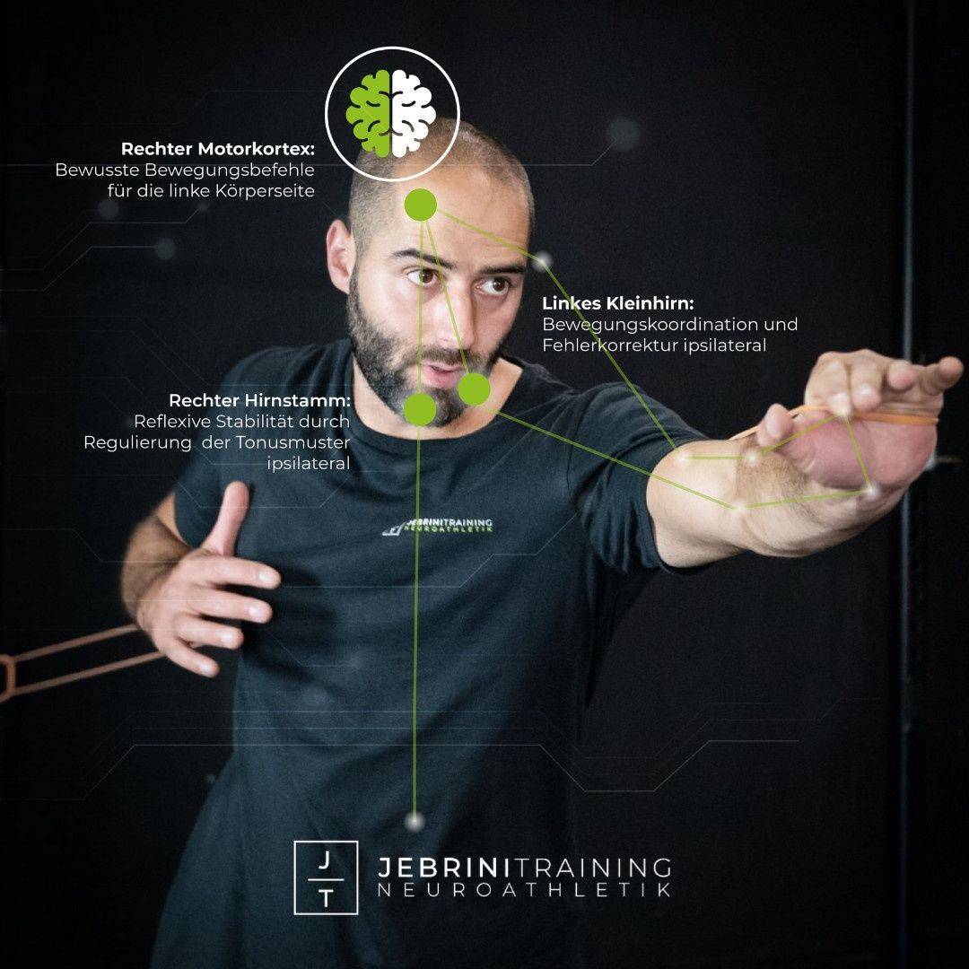 Ausbildung zum Neuroathletiktrainer
