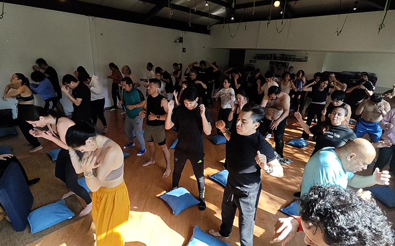 Meditación Dinámica