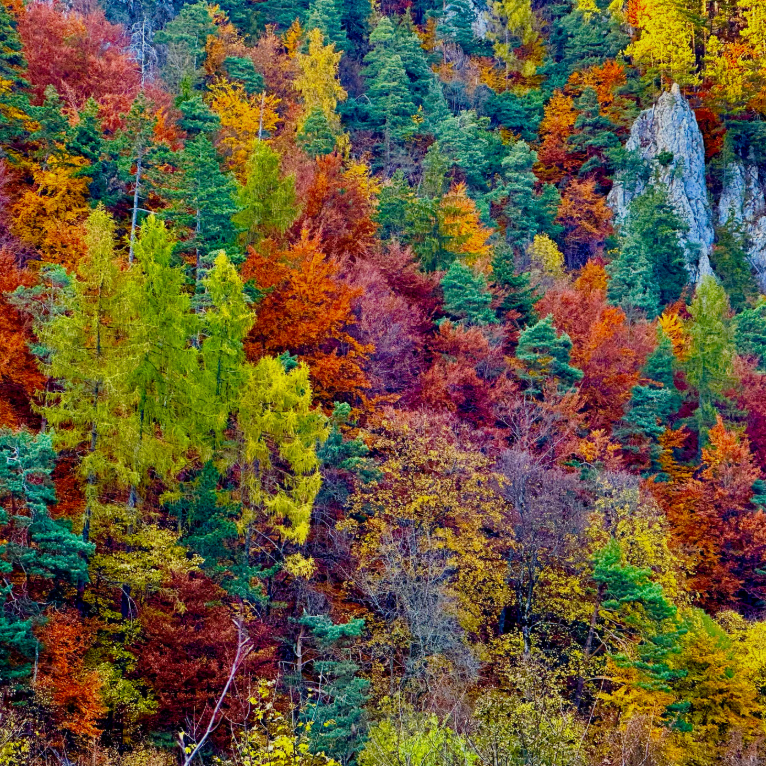 Women's transformational retreat in Romania