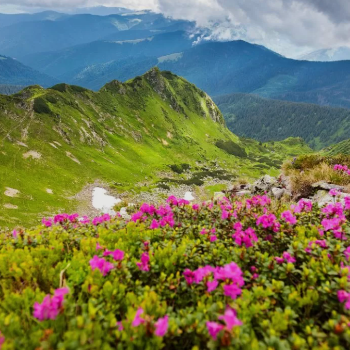 Women's transformational retreat in Romania