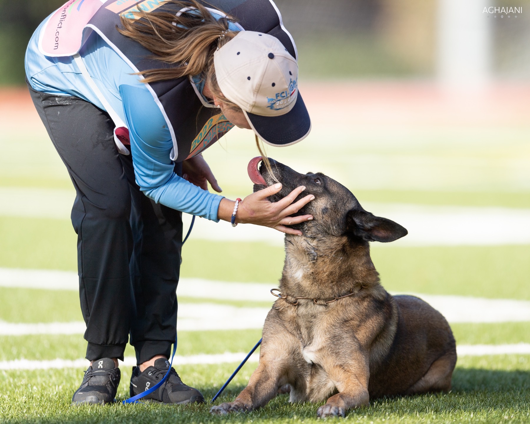 IGP dog training video placeholder