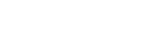 Logo 9