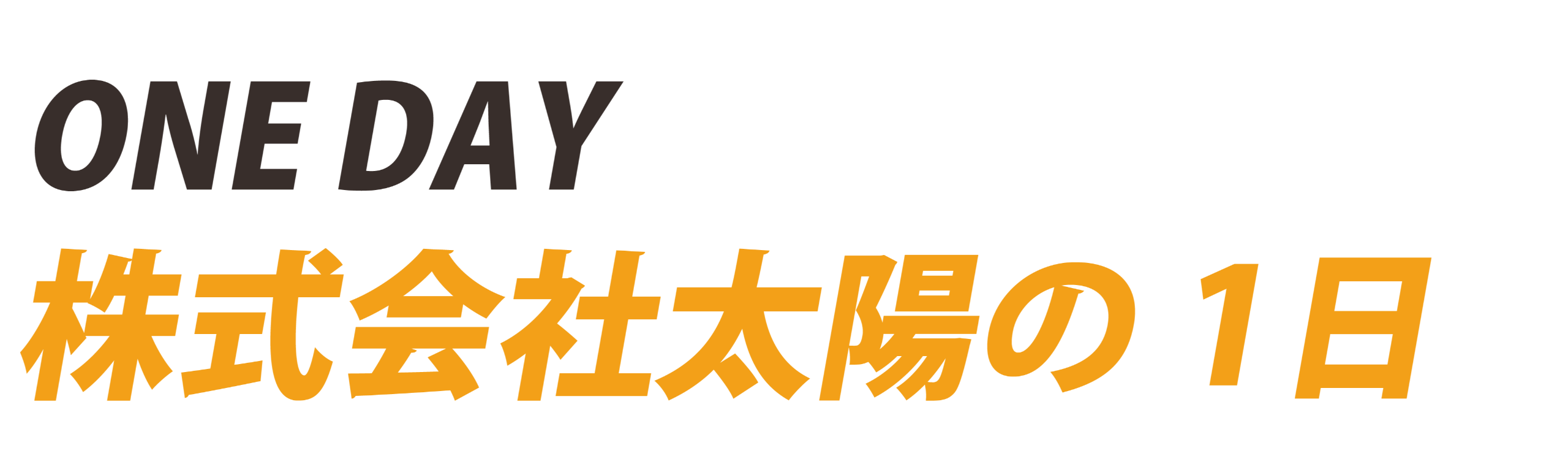 ONE DAY　株式会社太陽の1日