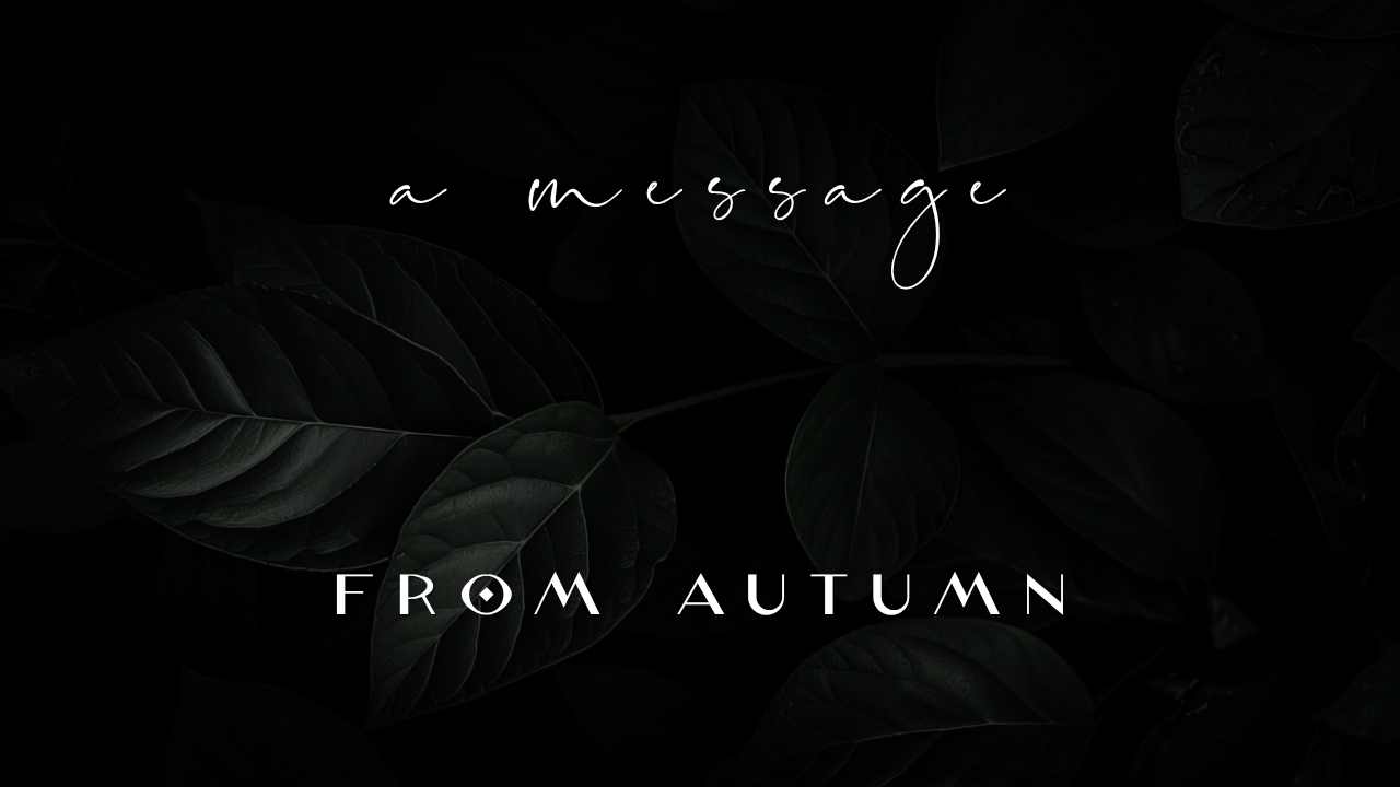 Video Poster Image