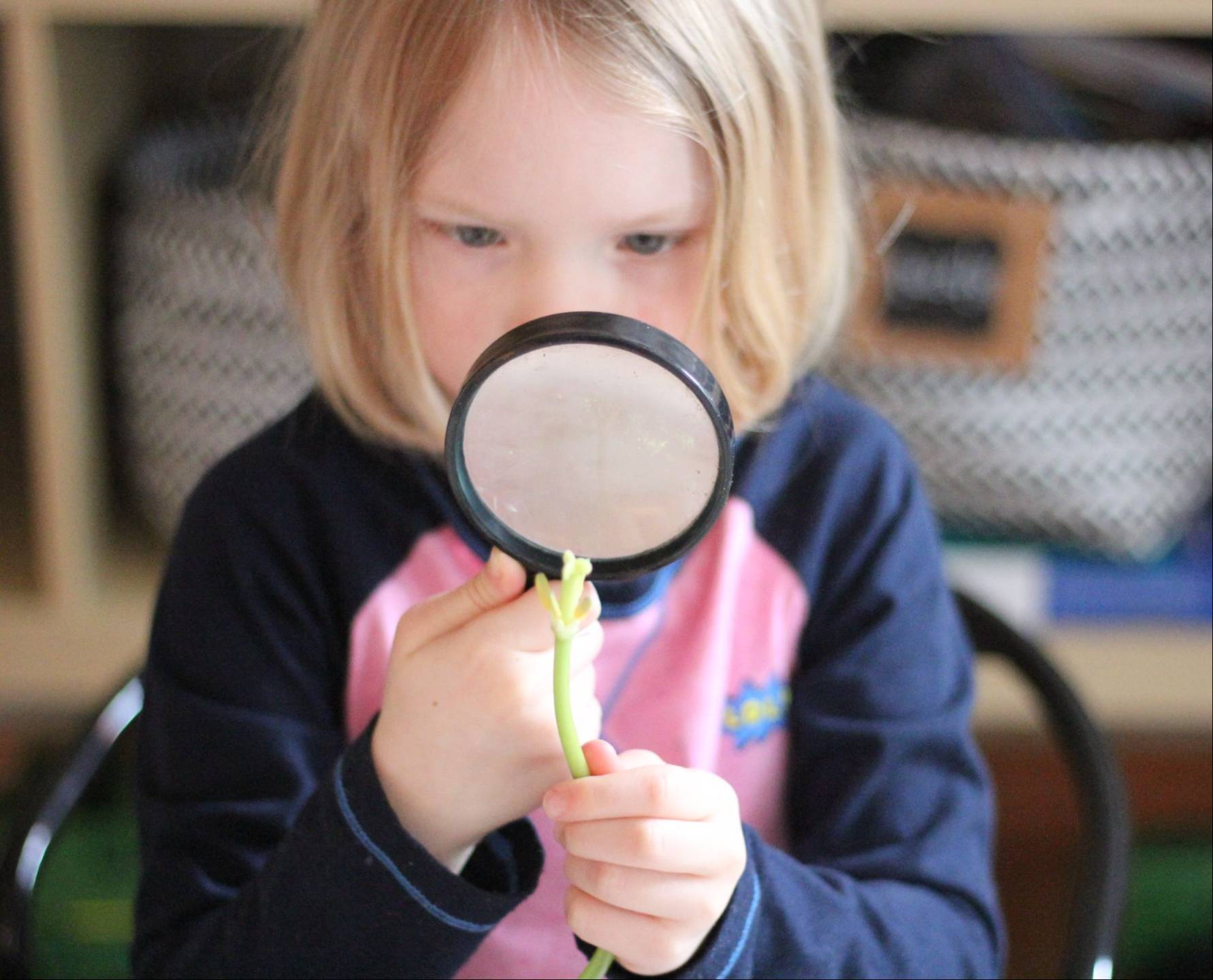 Child examining a flower with a magnifying glass