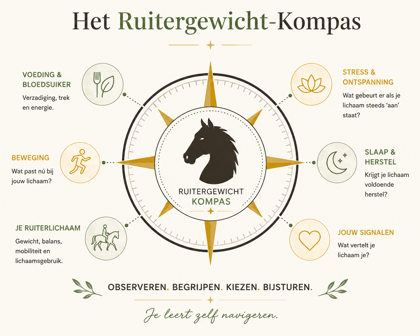 Het Ruitergewicht-Kompas infographic (tijdelijke placeholder)