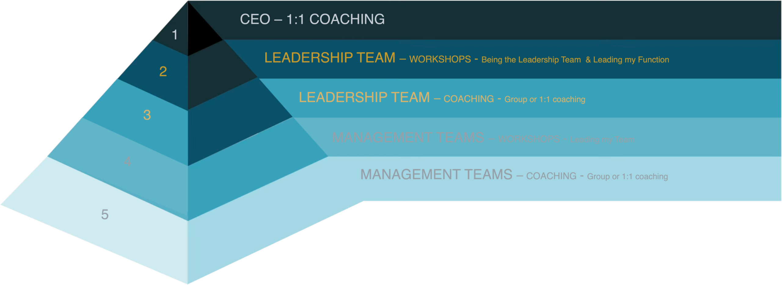 Profitable Leadership engagement model with Levels 1 to 3 highlighted, CEO coaching plus leadership team workshops and coaching