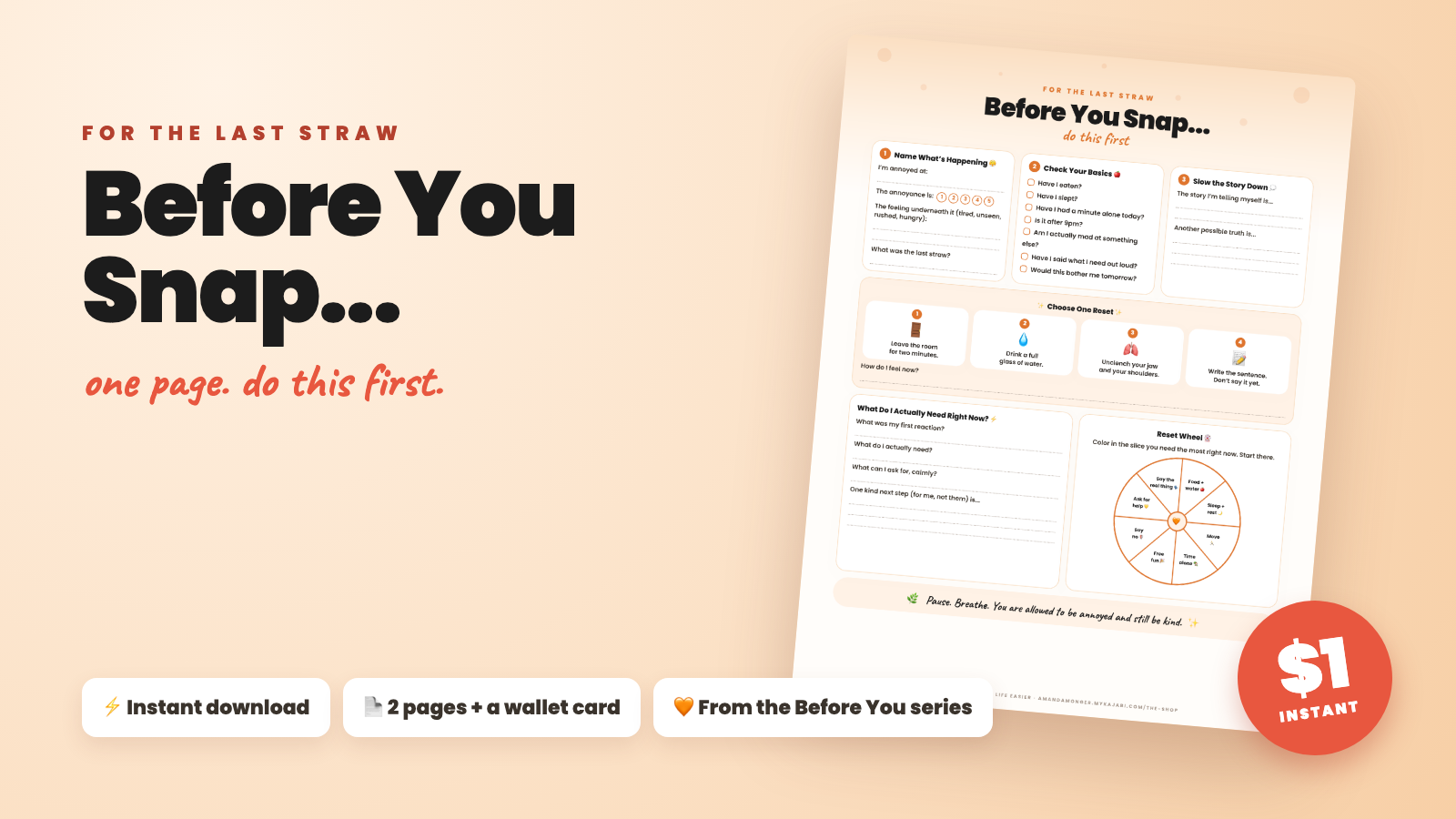 Before You Snap printable worksheet