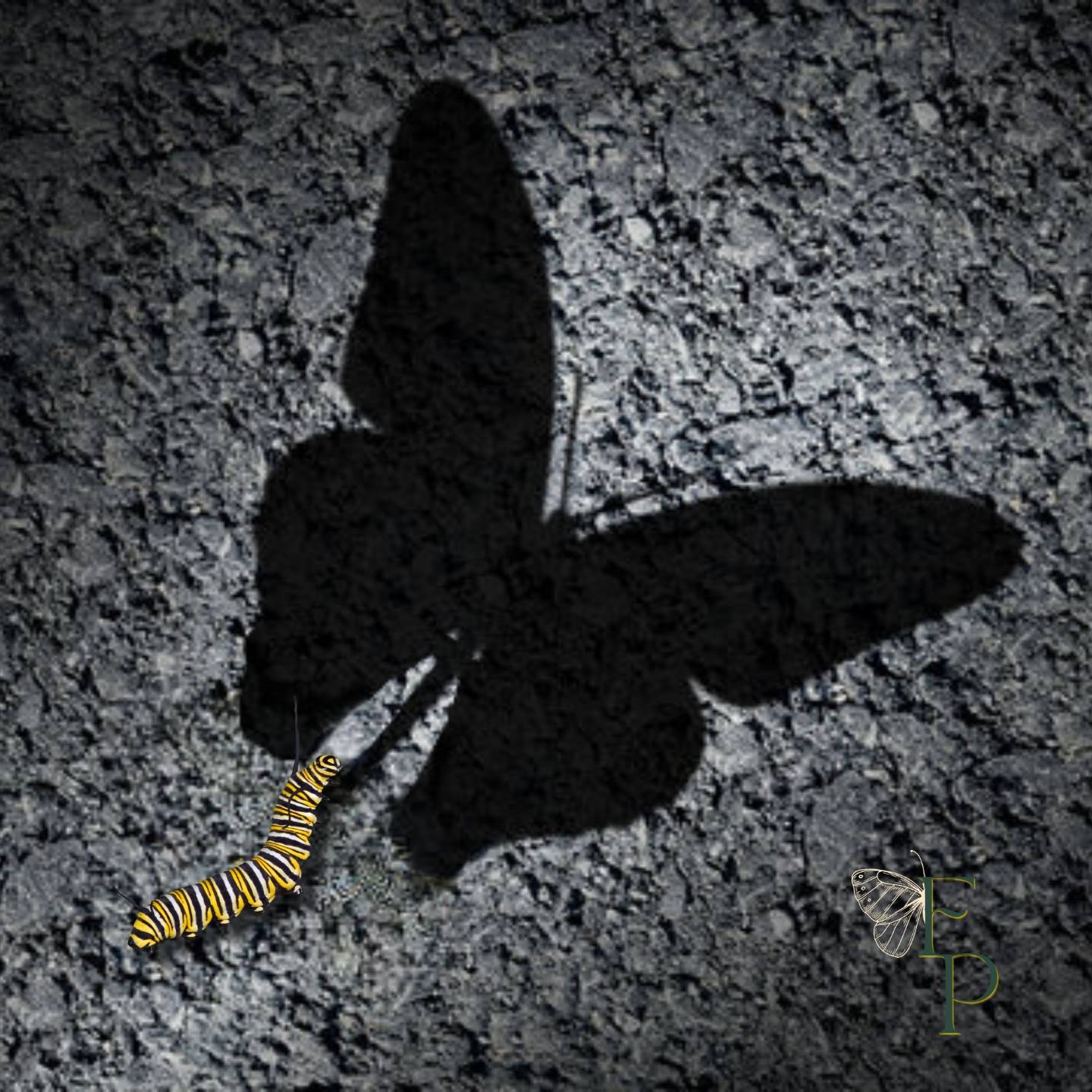 Flight Path Institute