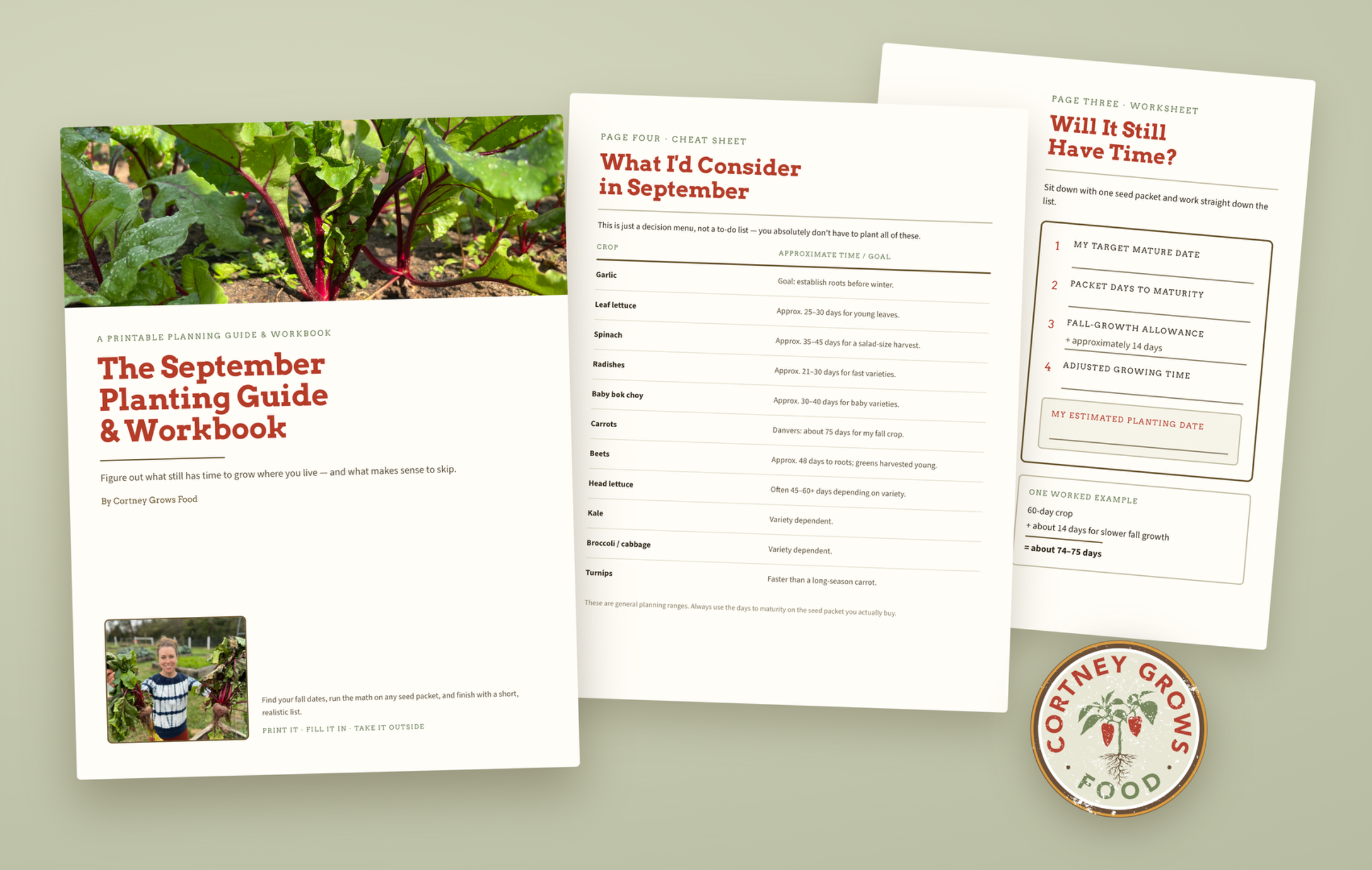 Fall & Winter Lettuce Guide image