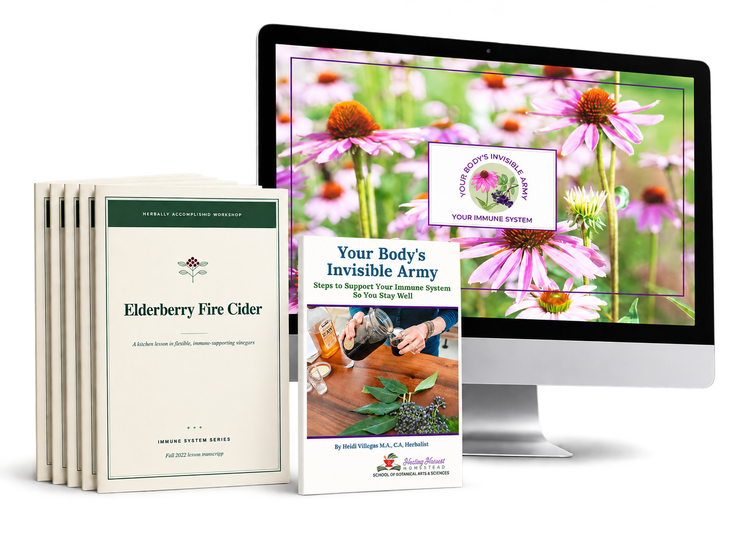 Your Body's Invisible Army course mockup: book, video lessons and printable handout