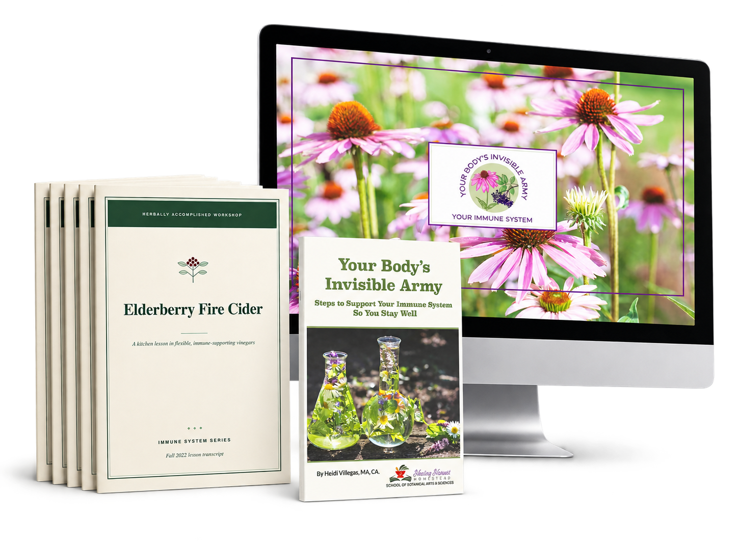 Your Body's Invisible Army course mockup: book, video lessons and printable handout