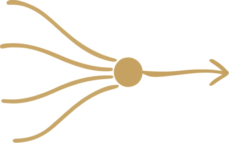 Alignment Strategy 
