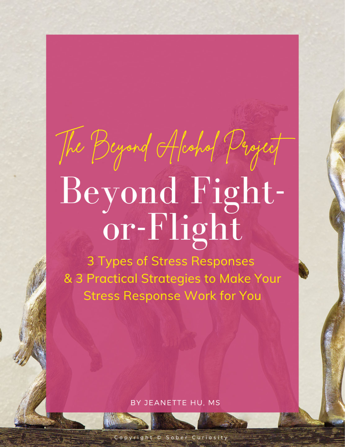 Beyond Fight-or-Flight guide with three types of stress responses and three practical strategies to make your stress response work for you, by Jeanette Hu.