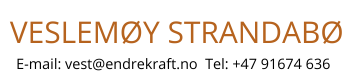 Header Logo
