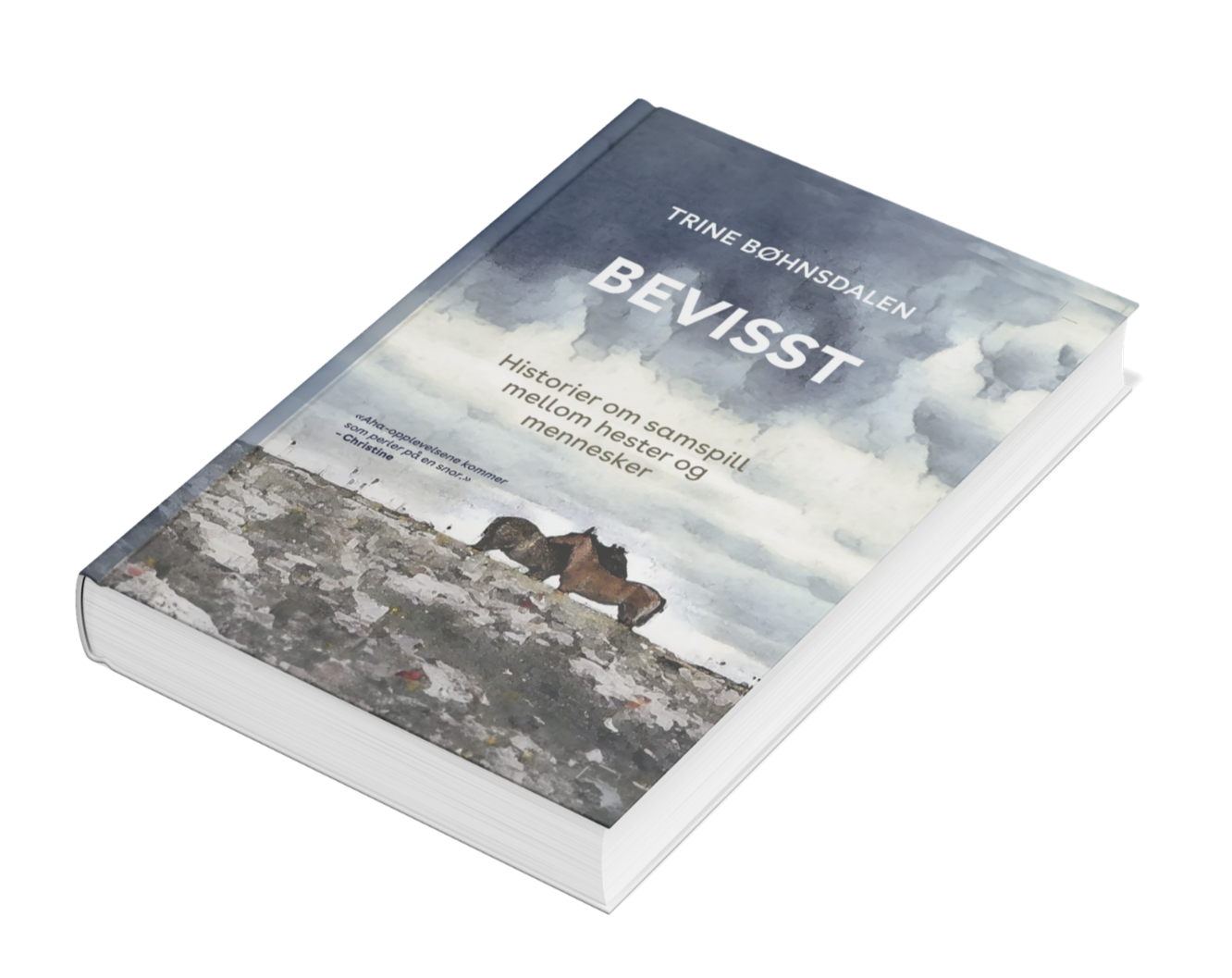 BEVISST, bok av Trine Bøhnsdalen