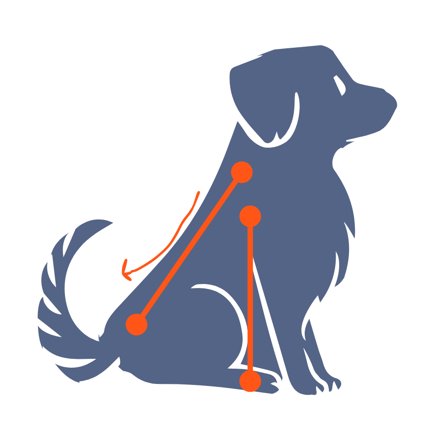 Doodle of a dog with analysis lines overlaid on top in red to illustrate the report writing process.