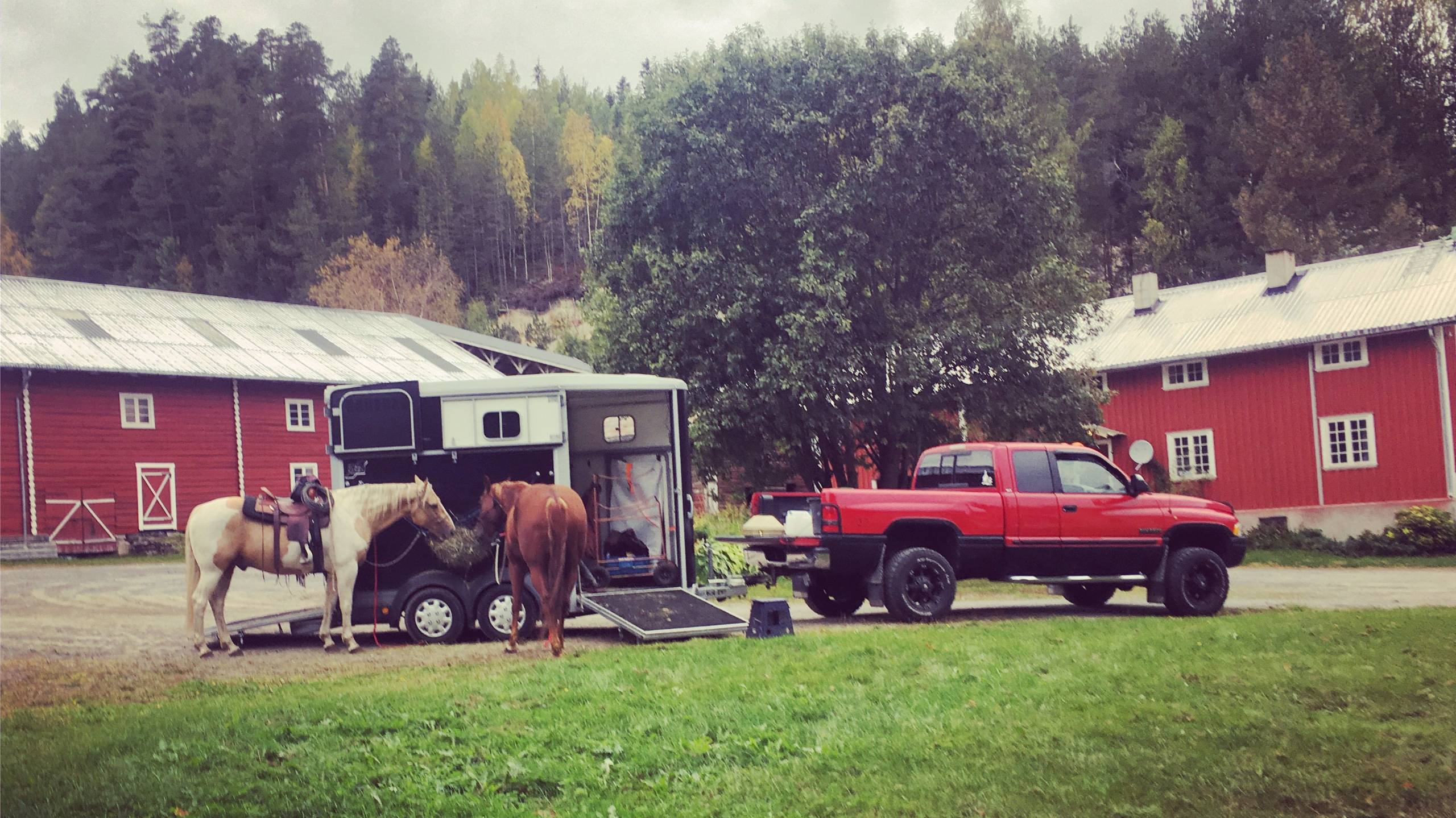Tres, Shilo og Colt