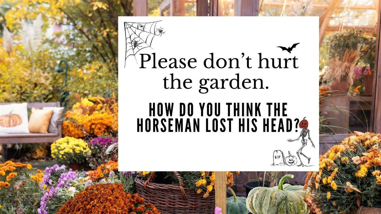fall yard full of pumpkins and chrysanthemums with a sign that says "please don't hurt the garden. 