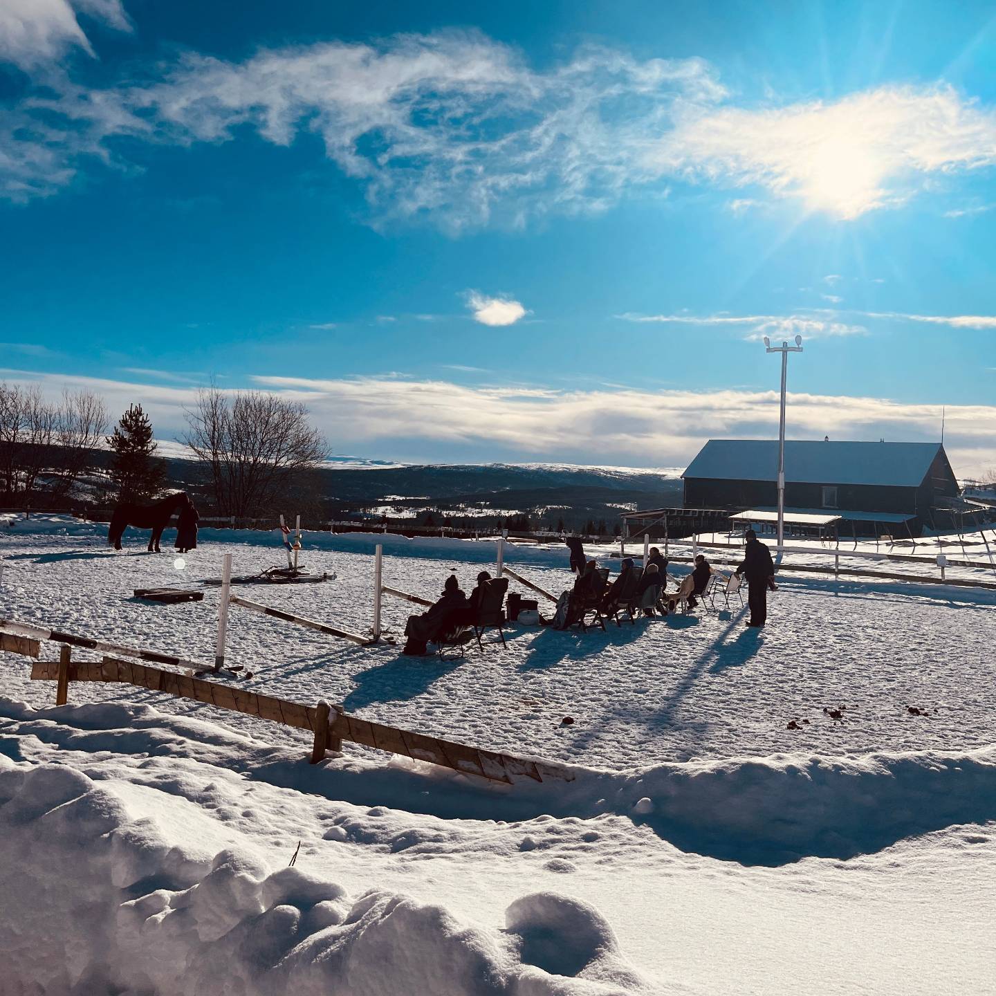 Kurs og gruppeveiledning med Trine Bøhnsdalen