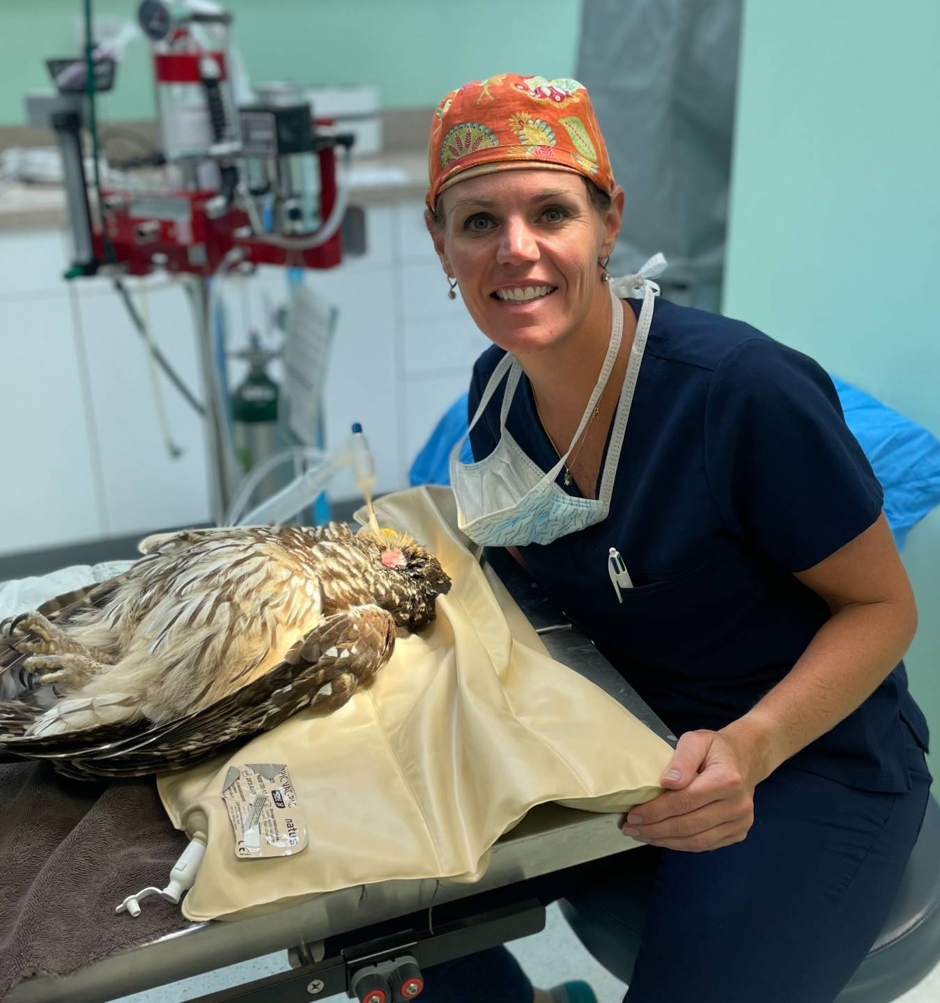 Dr. Kristin Fischer