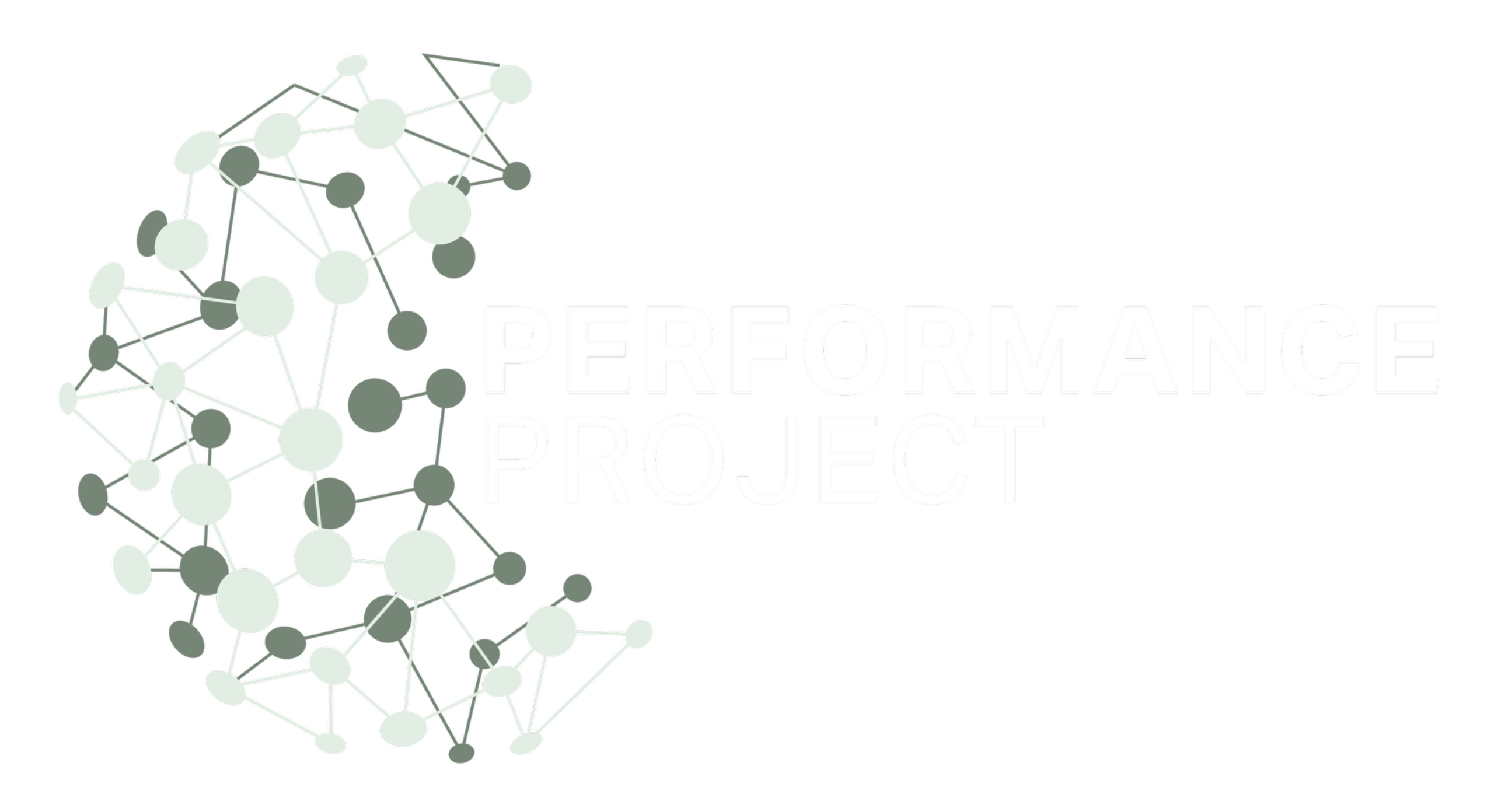 Performance Project Logo