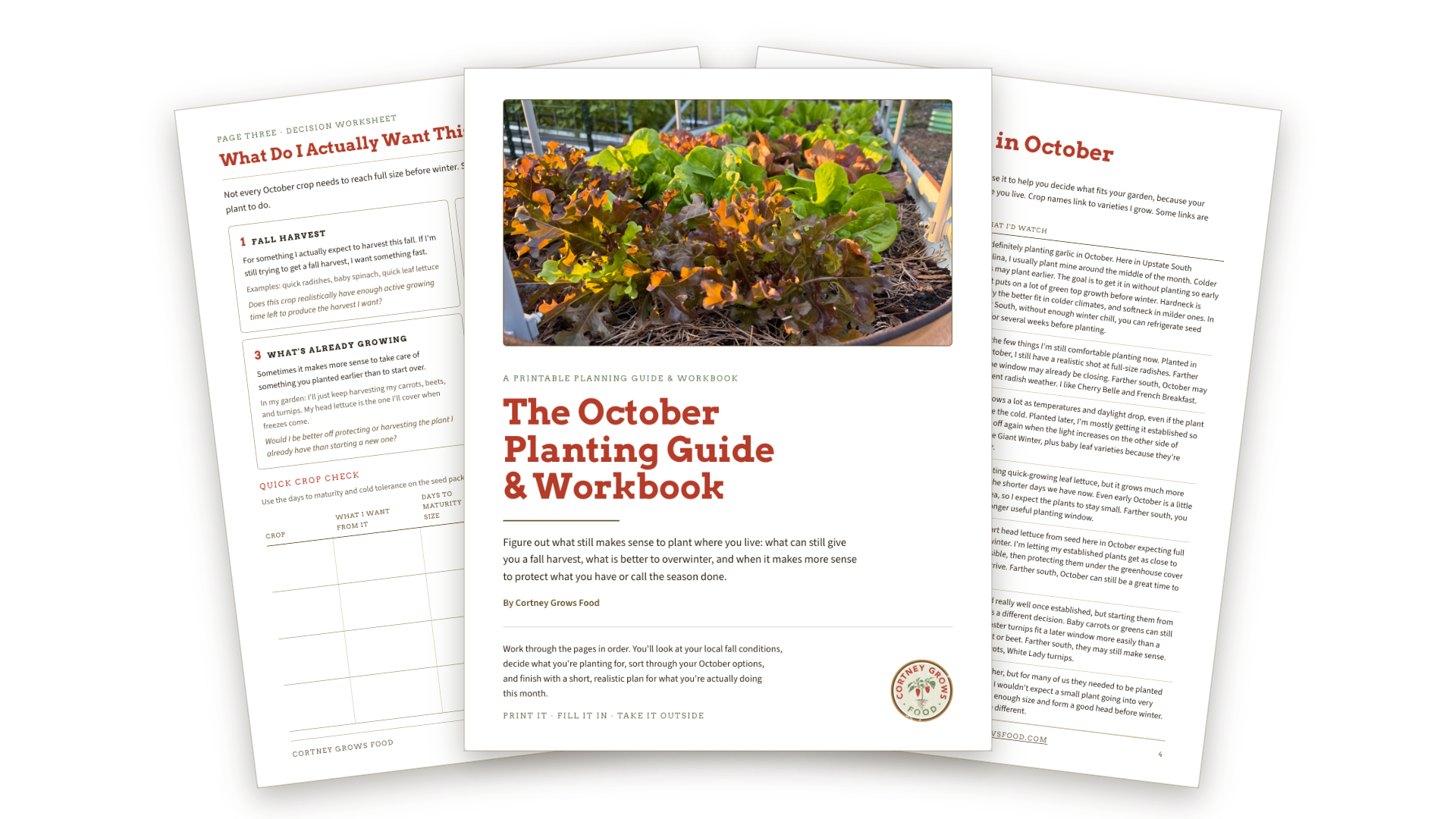 Fall & Winter Lettuce Guide image