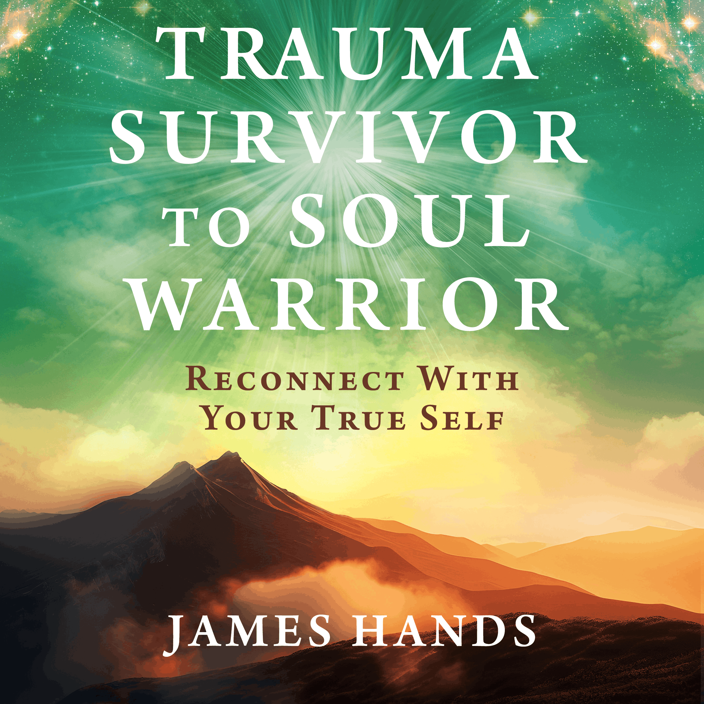 Trauma Survivor to Soul Warrior audiobook