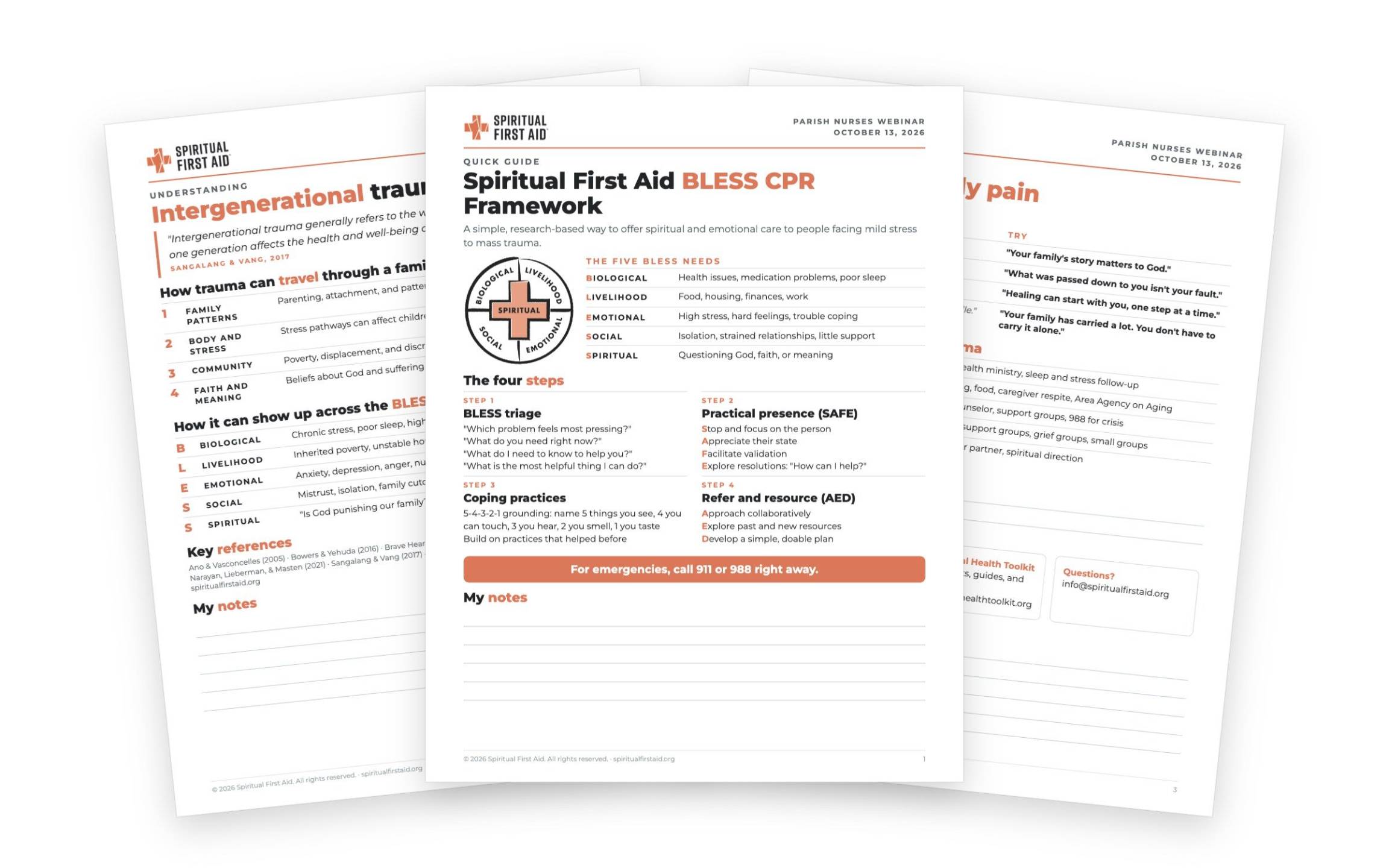Preview of the 3-page Parish Nurses webinar handout