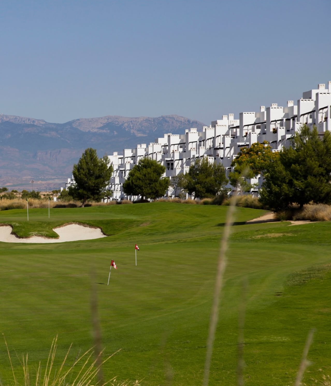 Practice greens and bunkers at Alhama Signature Golf