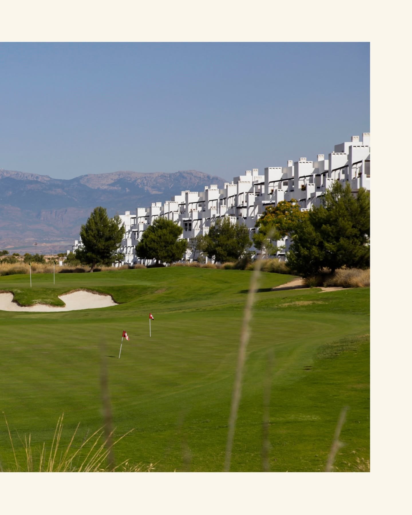Golf Club Coach · Roy Kullick