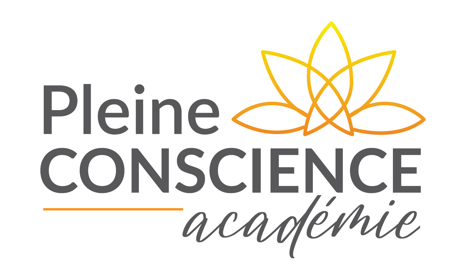 Pleine Conscience Académie