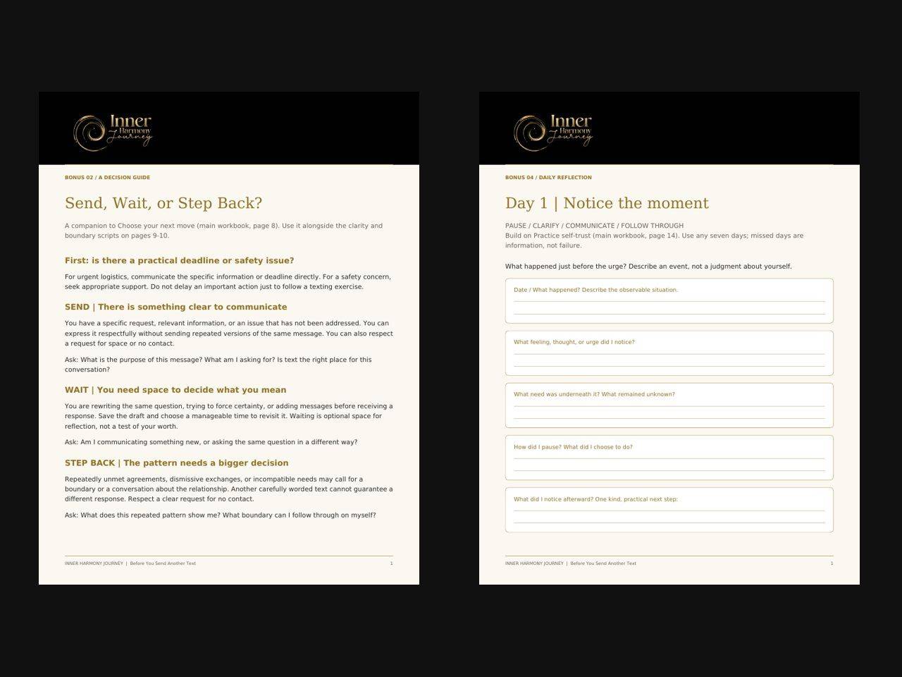 Actual decision-guide and seven-day tracker pages from Beyond the Text