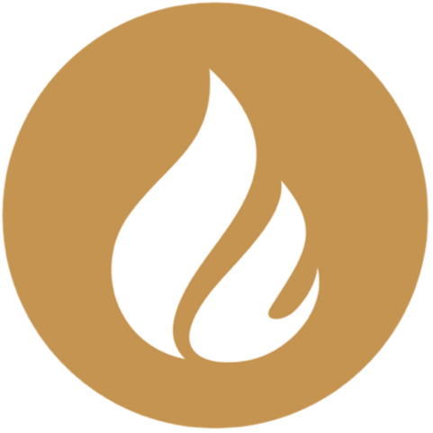 Footer Logo