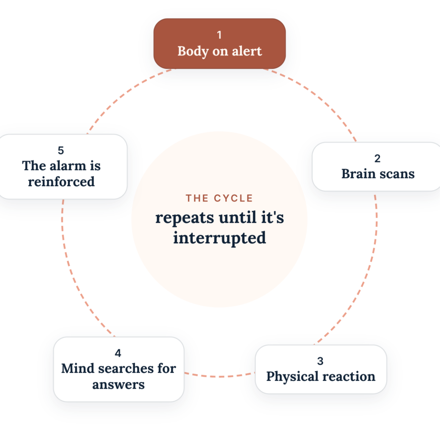 The alarm cycle: 1 body on alert, 2 brain scans, 3 physical reaction, 4 mind searches for answers, 5 the alarm is reinforced. The cycle repeats until it's interrupted.