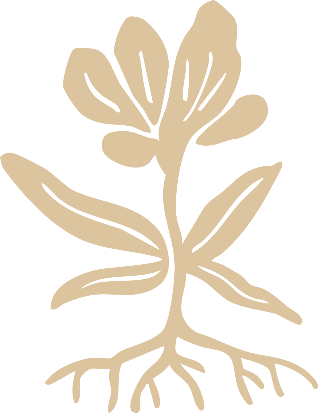kasvava puu
