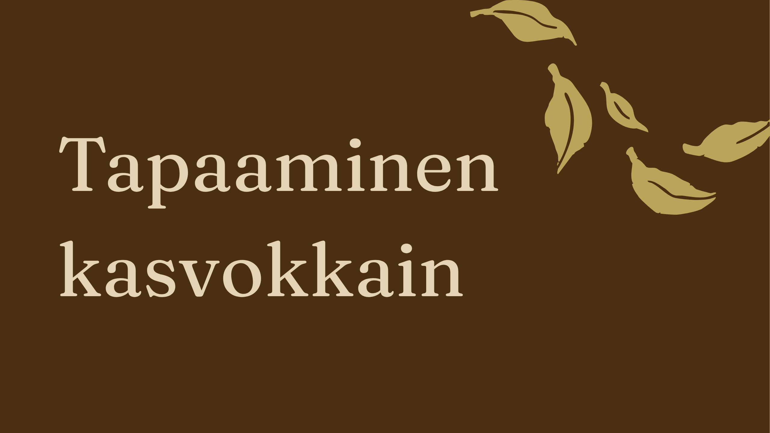 parisuhde verkkokurssin bonuksen kansigrafiikka